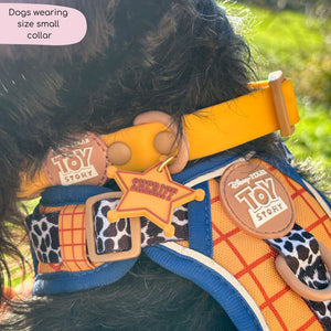 Disney© Waterproof Collar - Woody