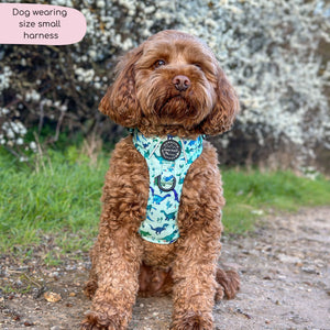 Tough Trails™ Harness - Dinky Dino