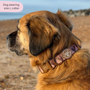 Collar – Walkies Ready® Chocolate Brown