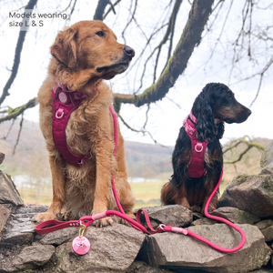 Tough Trails™ Harness - Walkies Ready® Raspberry Pink