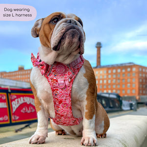 Disney© Tough Trails™ Harness - Jessie