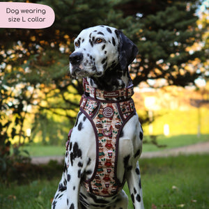 Collar - Snuggle Season