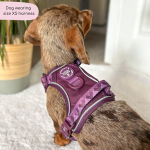 Tough Trails™ Harness - Walkies Ready® Plum