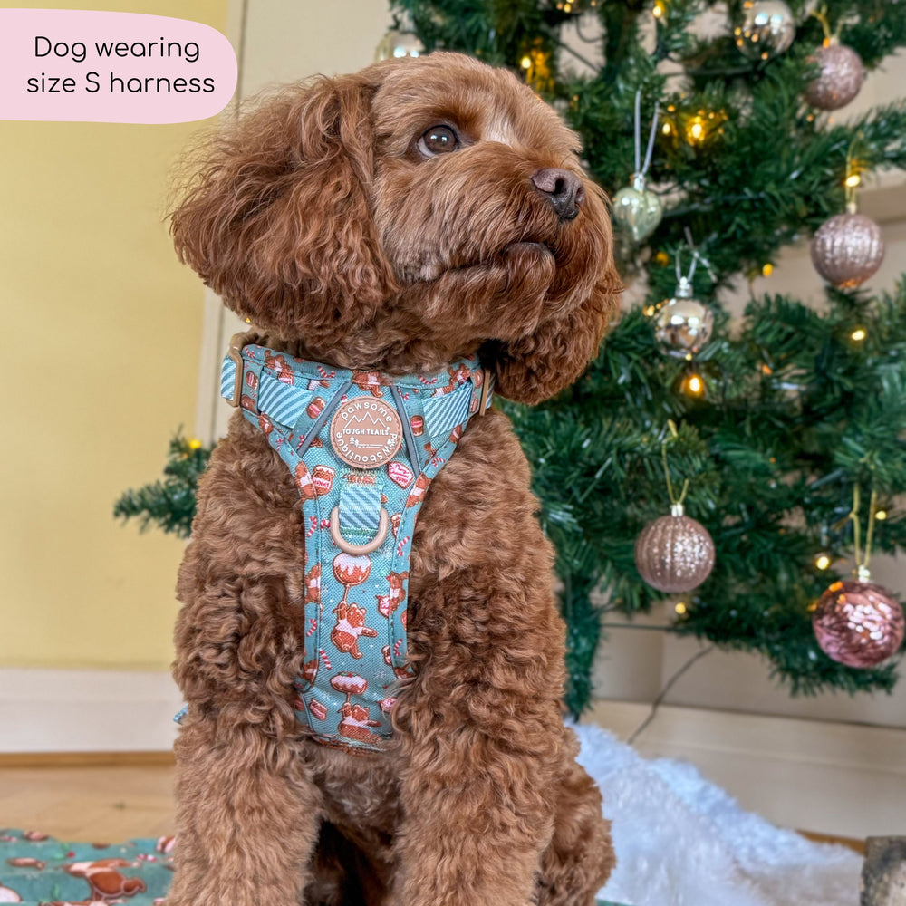 Disney© Tough Trails™ Harness - Gingerbread Bear Sage