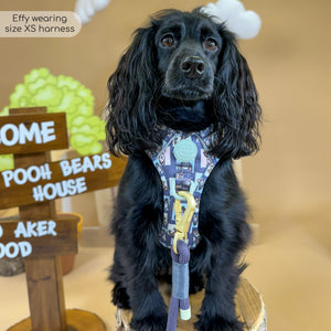 Disney© 4ft Rope Lead - Winnie + Friends - Sage and Blue