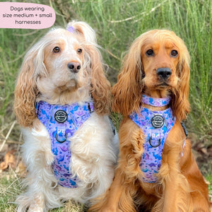 Tough Trails™ Harness - Tiny Diny