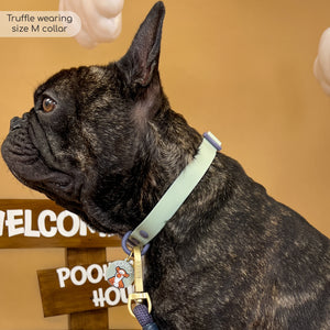 Disney© Collar/Lead Charm - Winnie + Friends