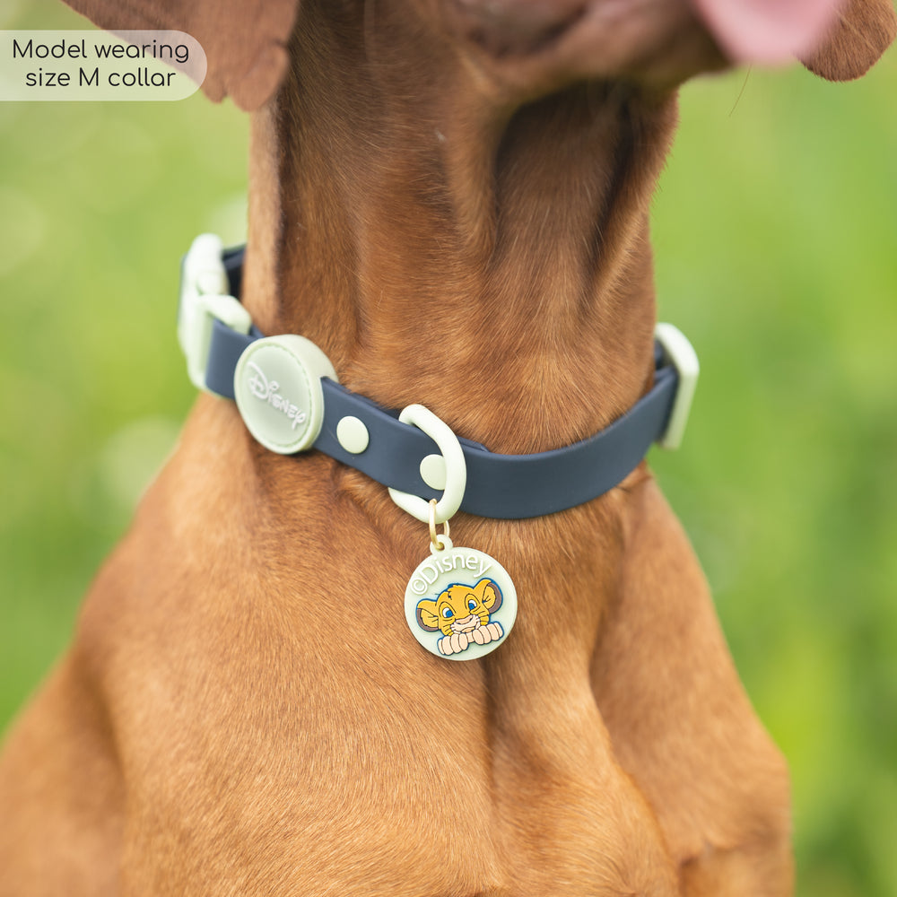 Disney© Waterproof Collar - Simba