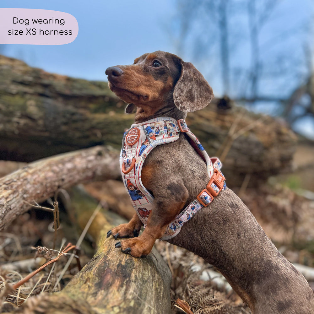 Paddington™ Tough Trails™ Harness - Peckish Paddington