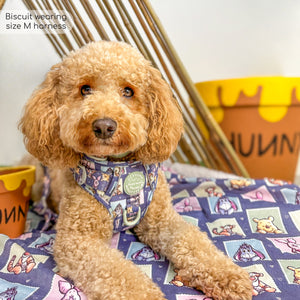 Disney© Dog Blanket - Winnie + Friends