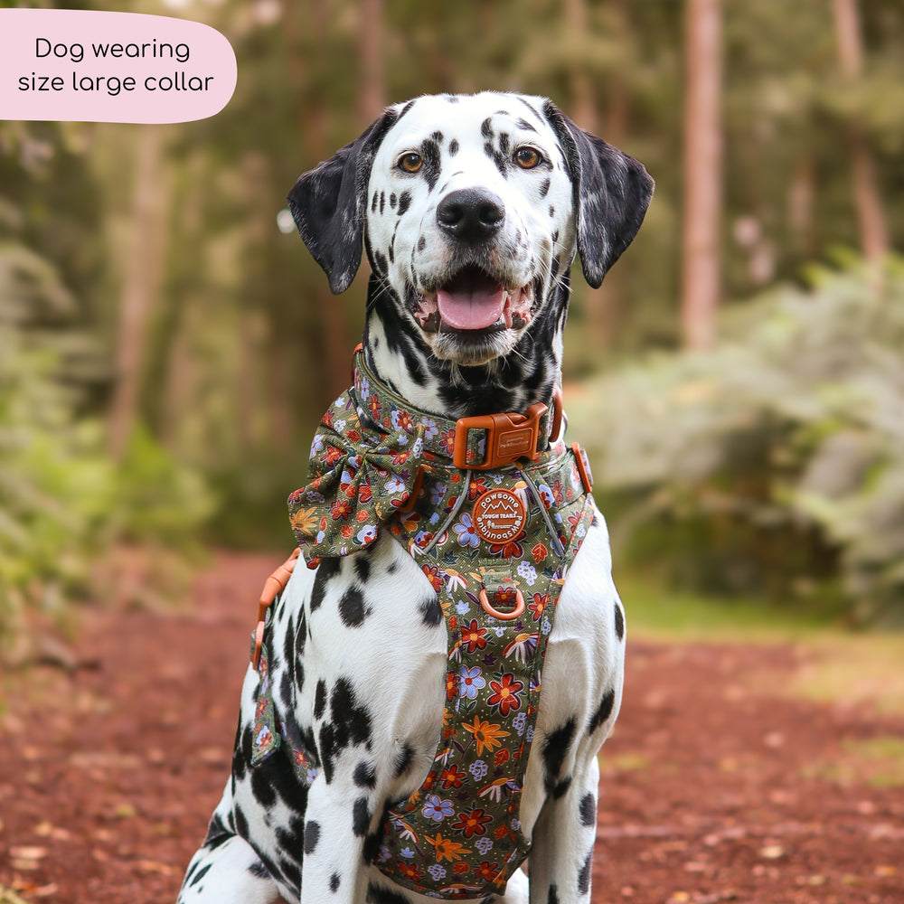 Collar - Rust & Bloom