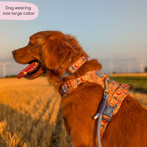 Collar - Celestial Spirit