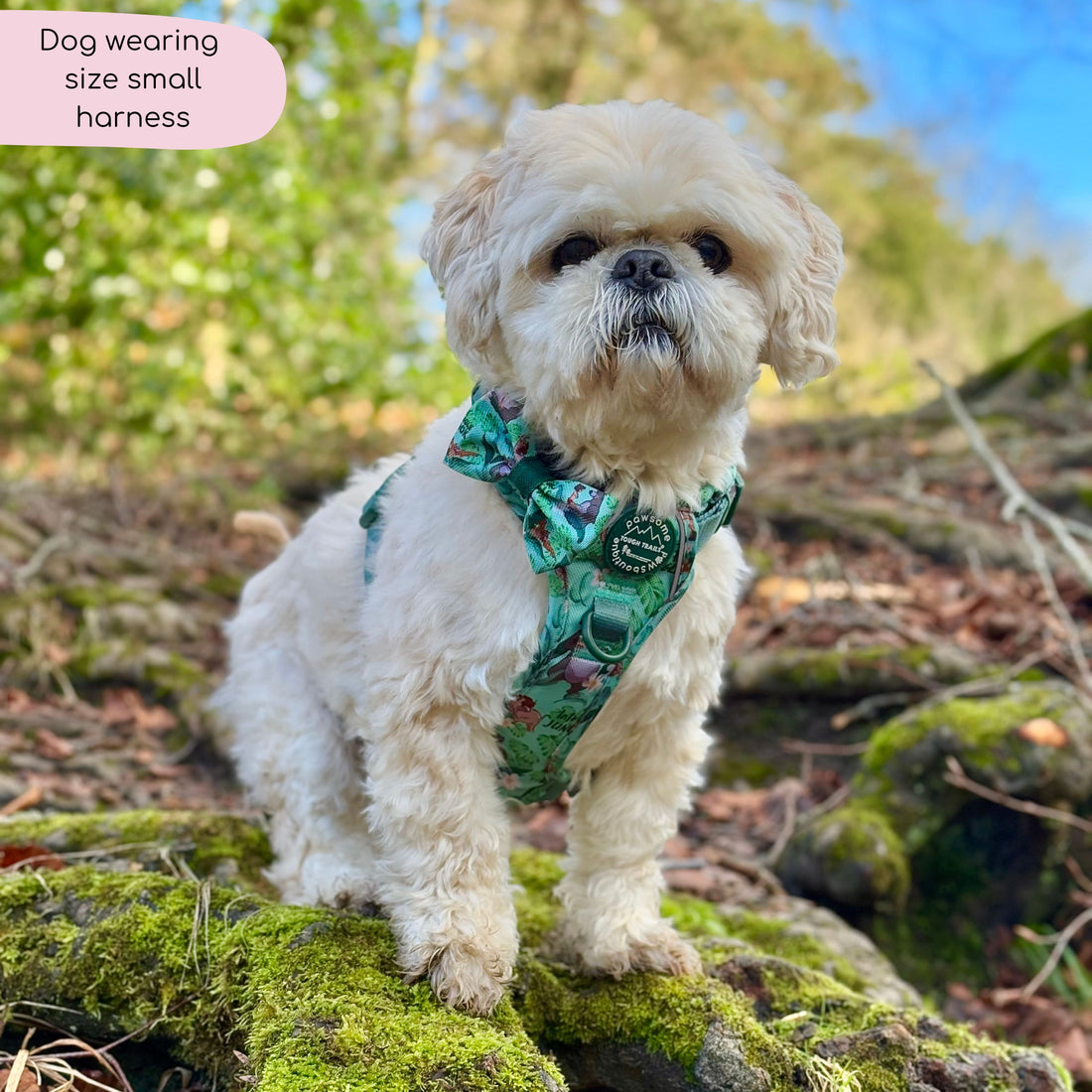Disney© Tough Trails™ Harness - Jungle Book