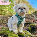 Disney© Tough Trails™ Harness - Jungle Book