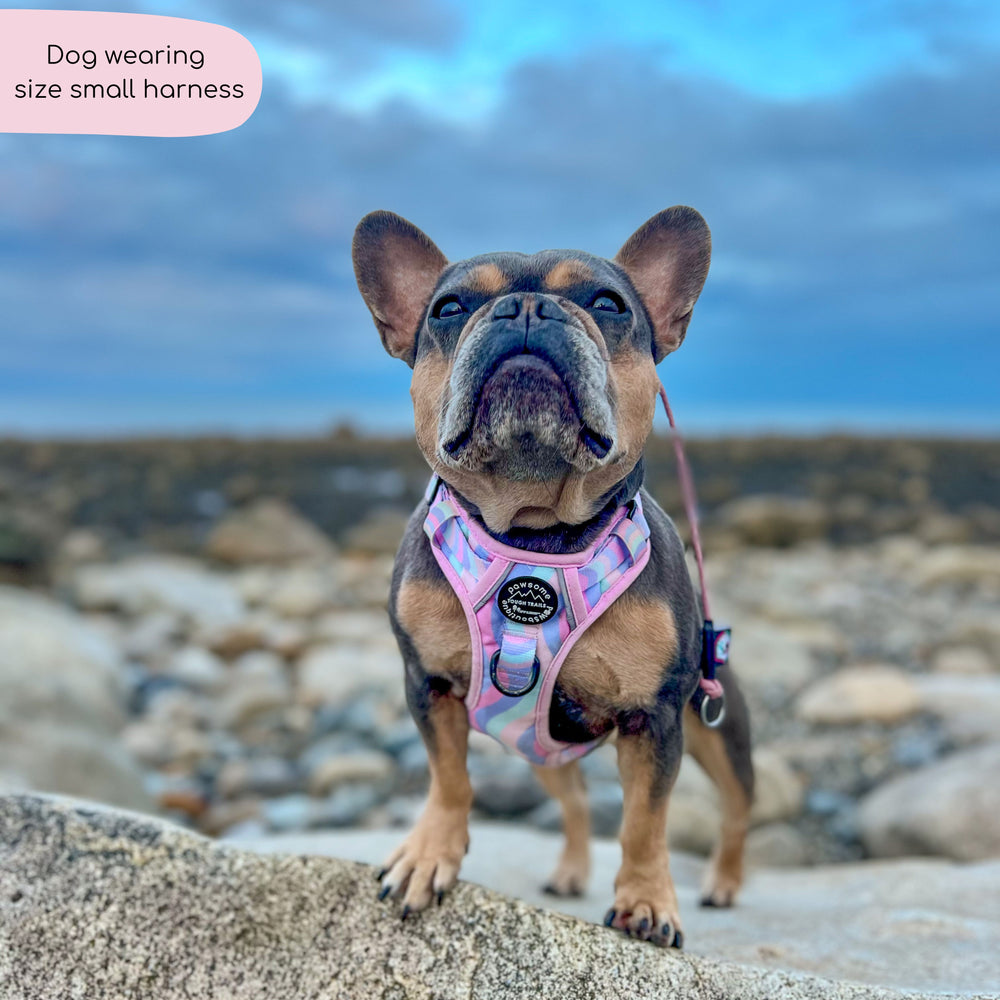 Tough Trails™ Harness - PPB Pastel Swirl