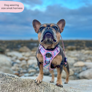 Tough Trails™ Harness - PPB Pastel Swirl