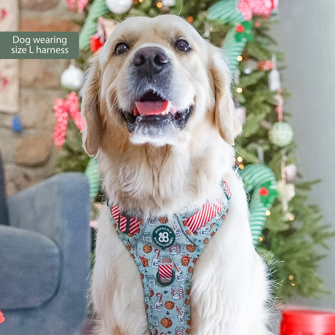 Tough Trails™ Harness -  Milk & Cookies