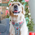 Tough Trails™ Harness -  Milk & Cookies