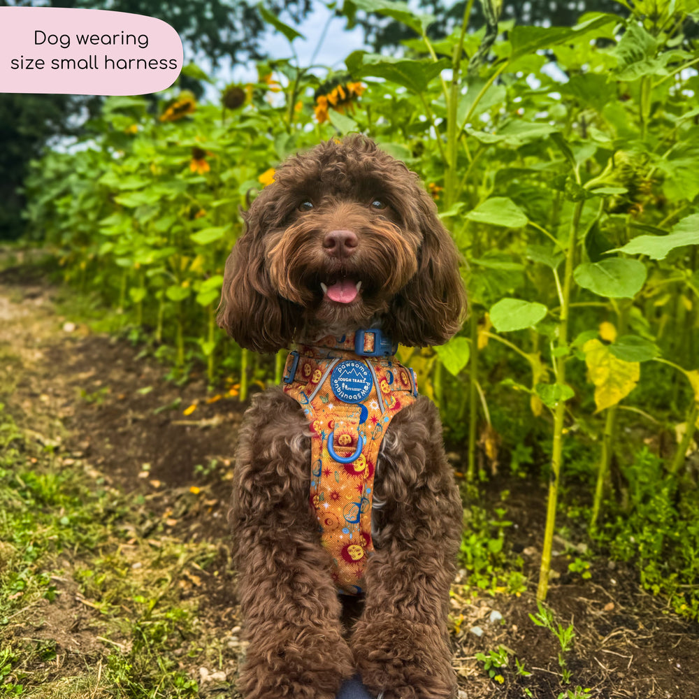 Tough Trails™ Harness - Celestial Spirit