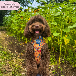 Tough Trails™ Harness - Celestial Spirit