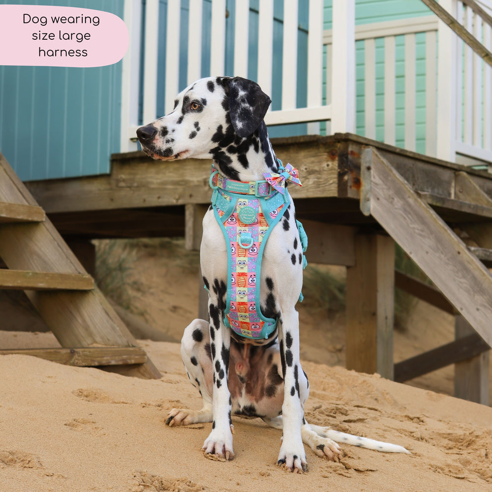 Tough Trails™ Harness - Spongebob