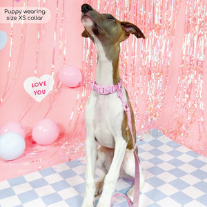 Pawsome Pup Collar and Lead Set - Pink