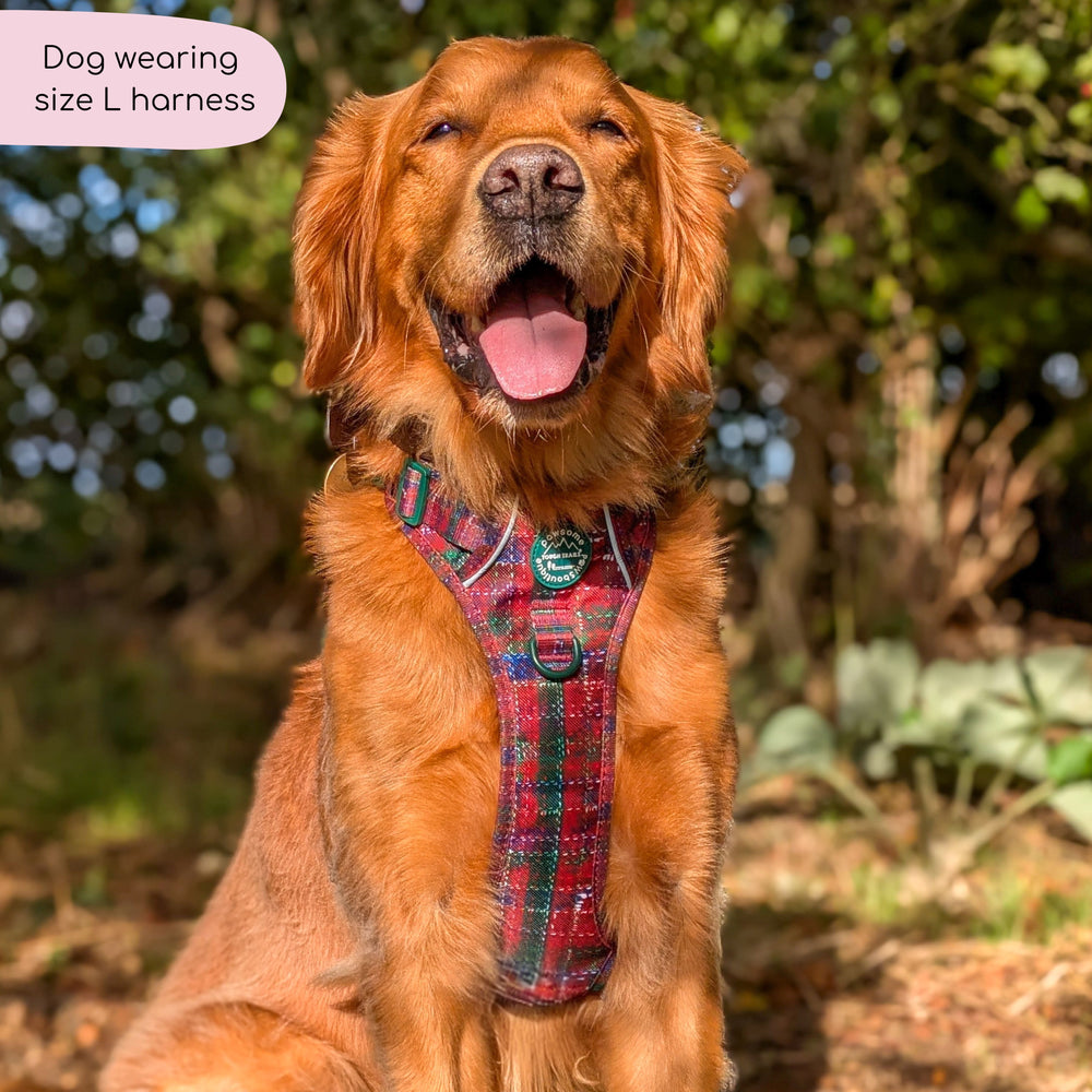 Tough Trails™ Harness - Yuletide Plaid