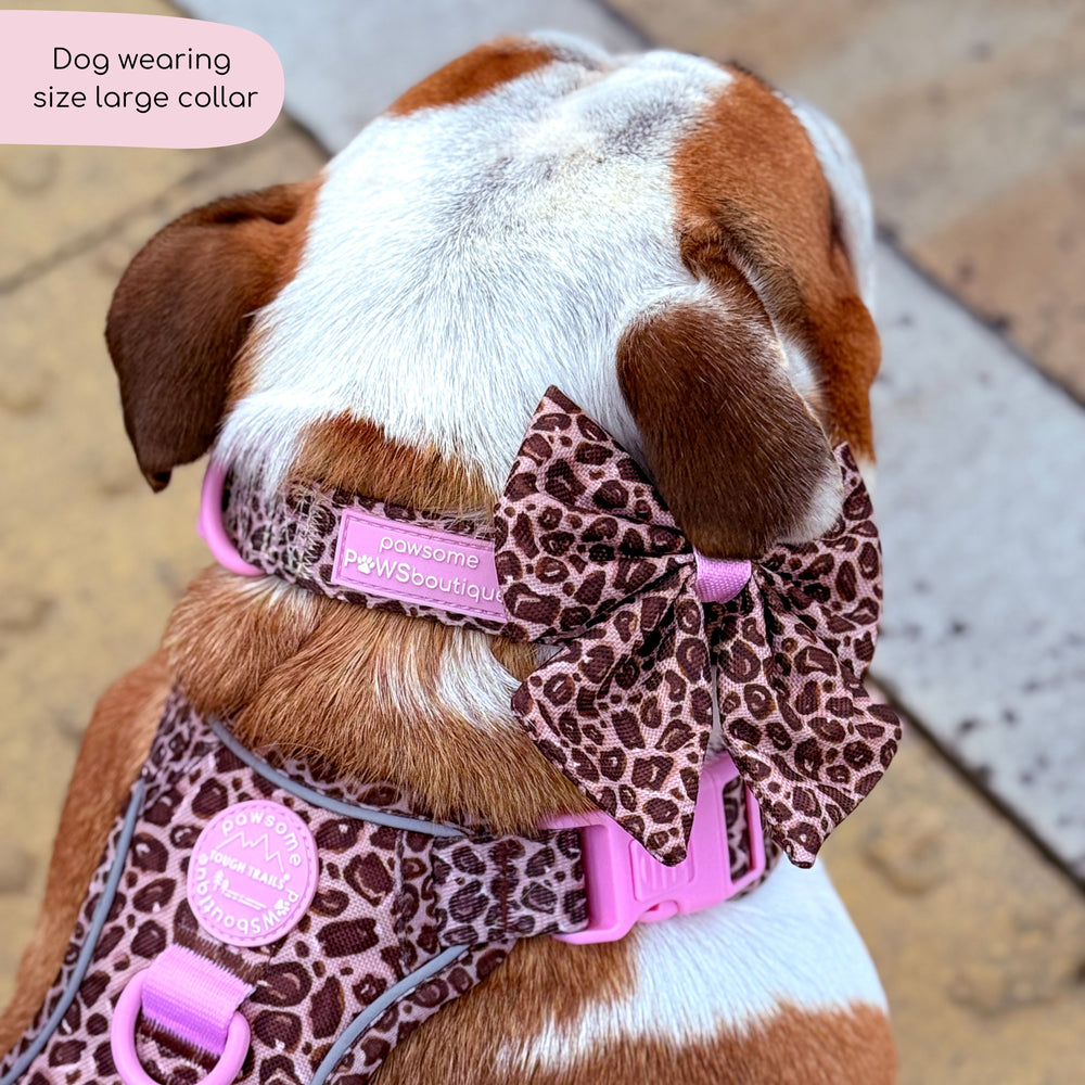 Collar - Leopard Print