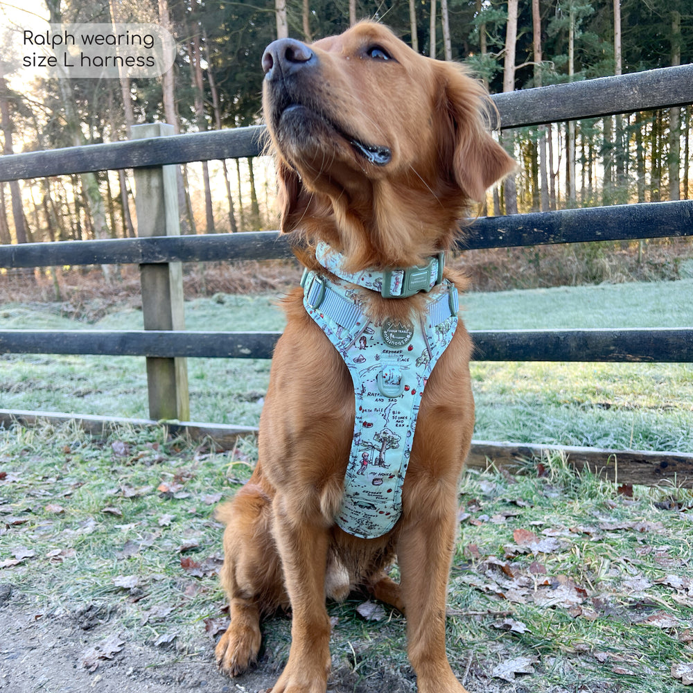 Disney© Tough Trails™ Harness - 100 Aker Wood