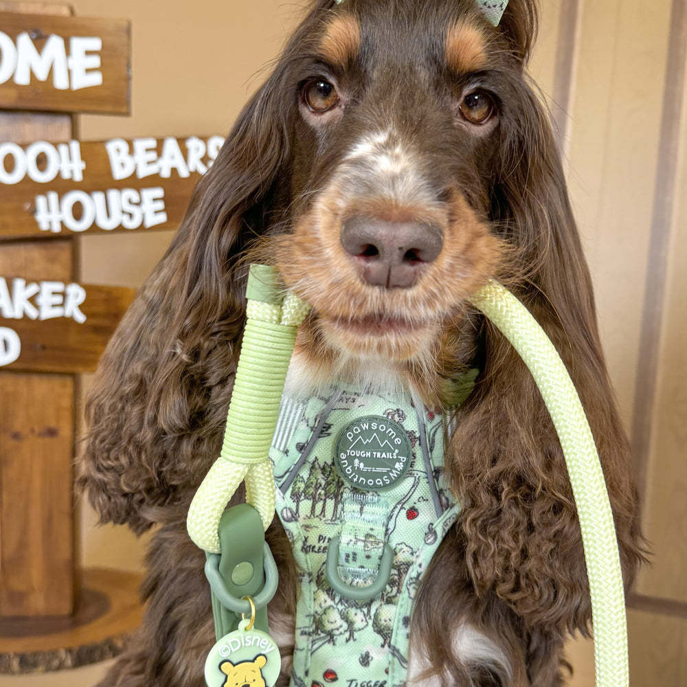 Disney© 4ft Rope Lead - 100 Aker Wood - Light and Dark Green