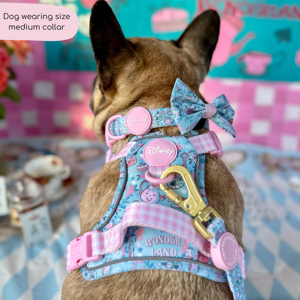 Disney© Collar - Mad Hatters Tea Party