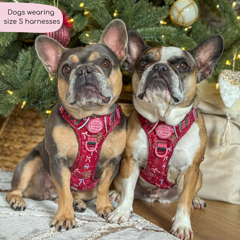 Tough Trails™ Harness - Bows Of Joy