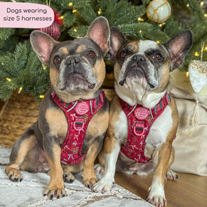 Tough Trails™ Harness - Bows Of Joy