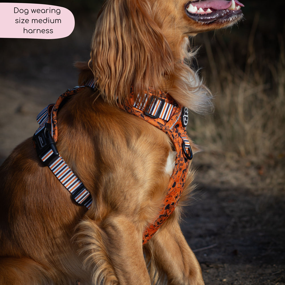 Disney© Tough Trails™ Harness - Halloween