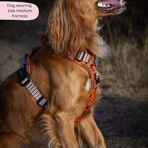 Disney© Tough Trails™ Harness - Halloween