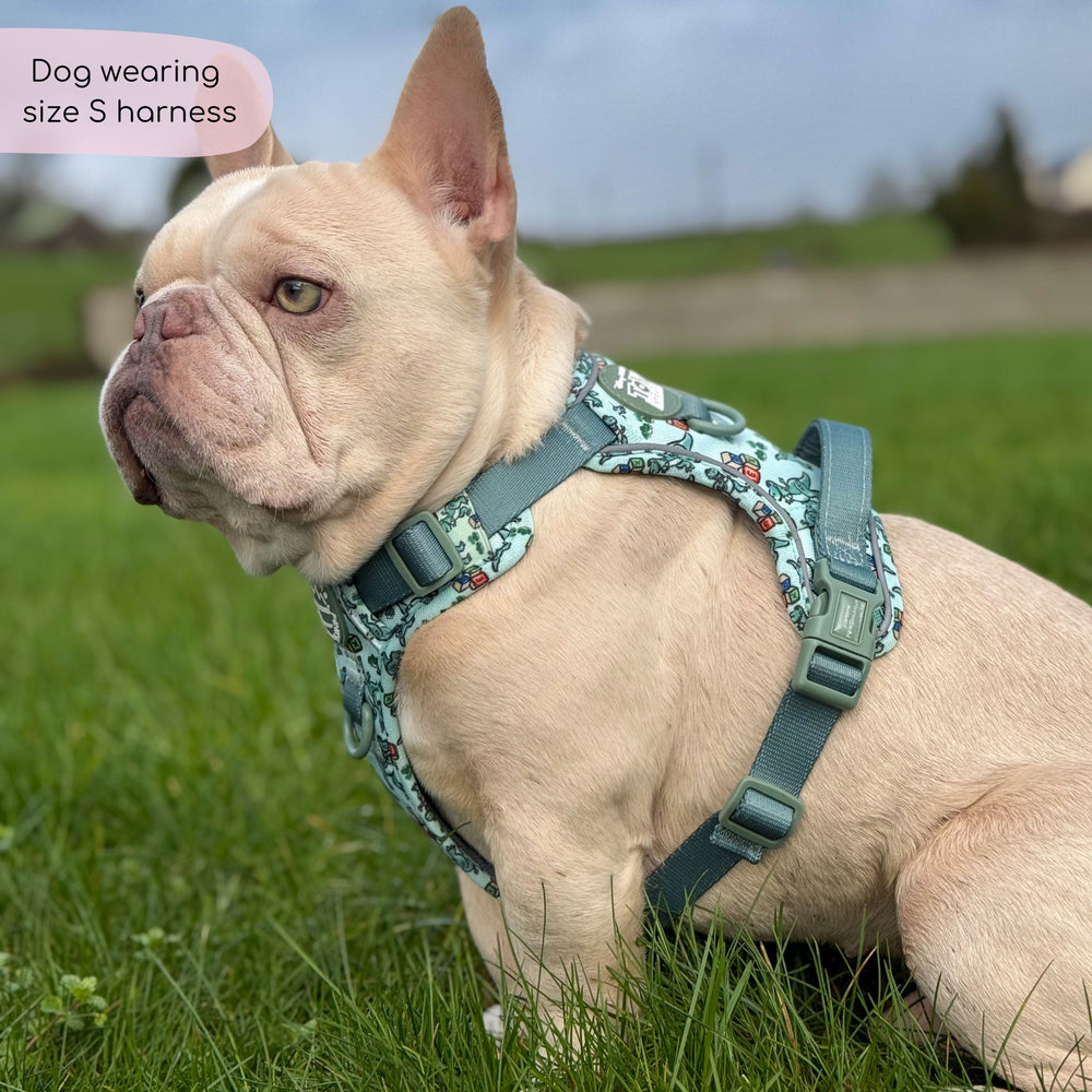 Disney© Tough Trails™ Harness - Rex