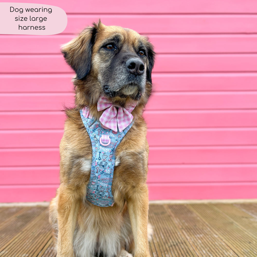 Disney© Tough Trails™ Harness - Mad Hatters Tea Party