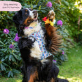 Disney© Tough Trails™ Harness - Stitch's Fruit Fiesta