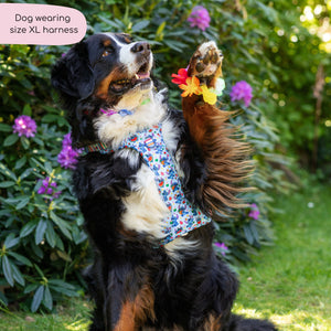 Disney© Tough Trails™ Harness - Stitch's Fruit Fiesta