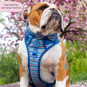 Tough Trails™ Harness -  Sailor Stripes