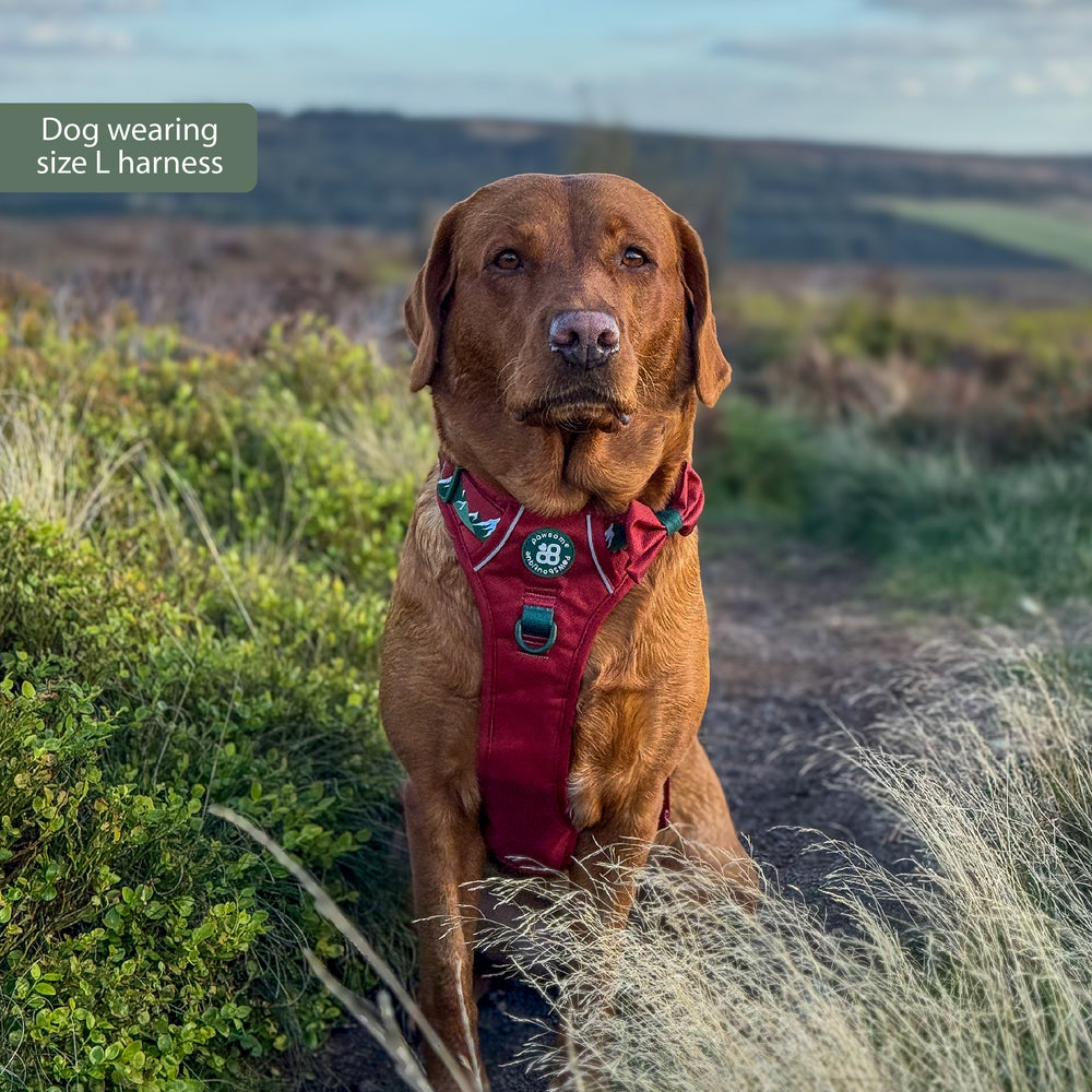 Tough Trails™ Harness - Walkies Ready® Snowy Mountains