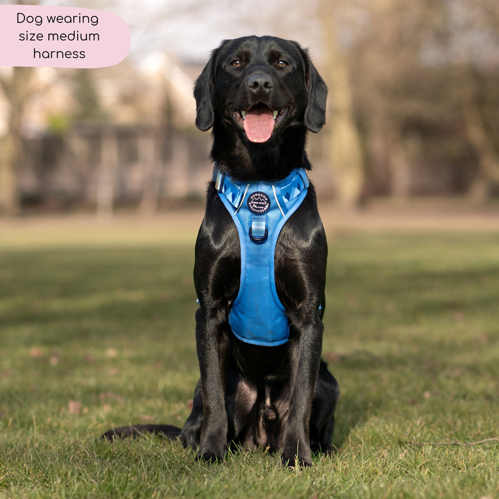 Tough Trails™ Harness - Walkies Ready® Cornflower Blue