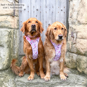 Disney© Tough Trails™ Harness - Piglet