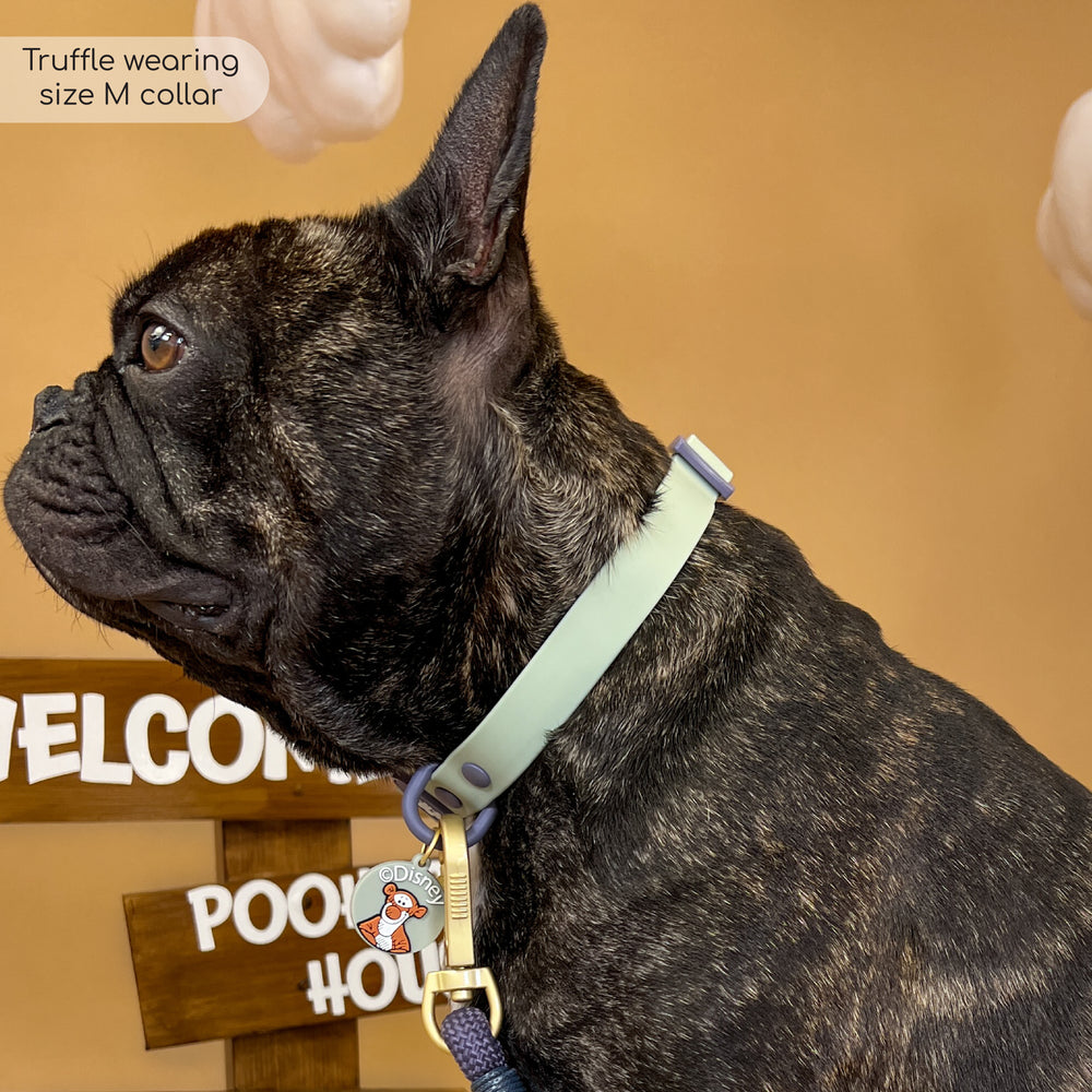 Disney© Waterproof Collar - Winnie + Friends