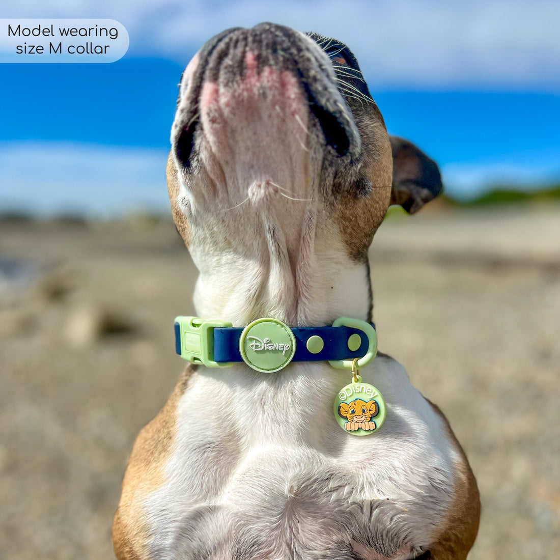 Disney© Waterproof Collar - Simba