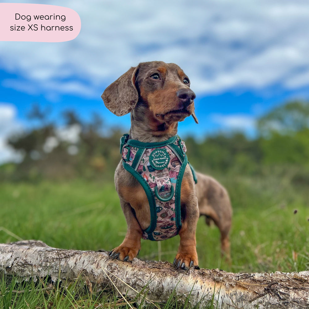 Tough Trails™ Harness -  Adventure Awaits