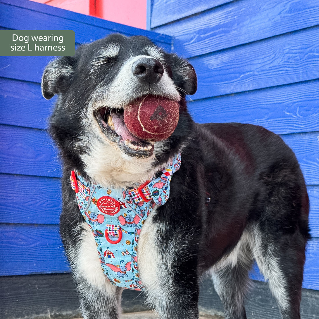 Disney© Tough Trails™ Harness - Dumbo