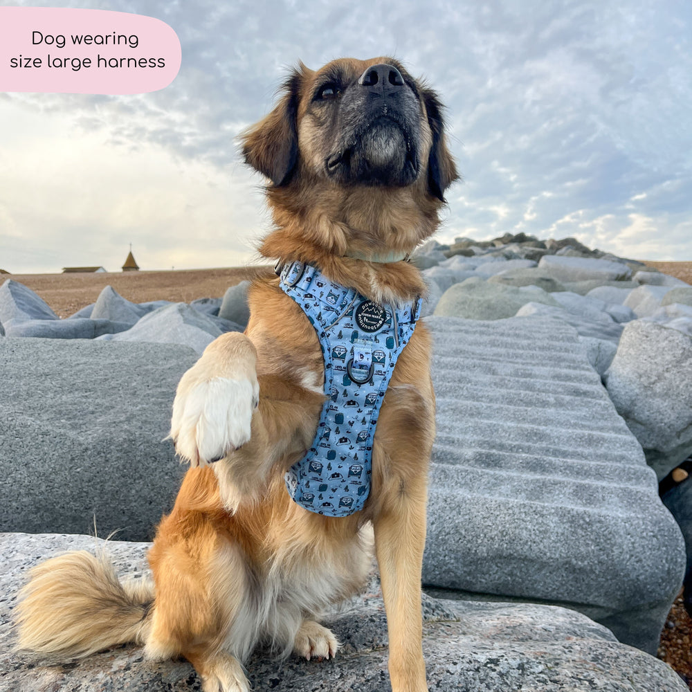 Tough Trails™ Harness - Reuben's Roadtrip