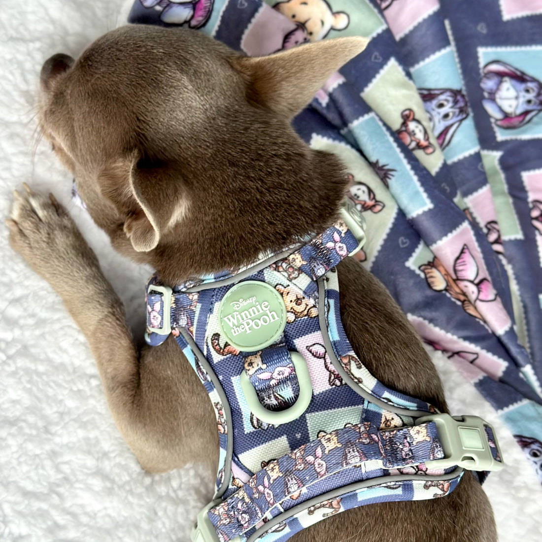 Disney© Tough Trails™ Harness -  Winnie + Friends
