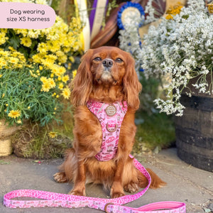 Tough Trails™ Harness -  Cowgirl